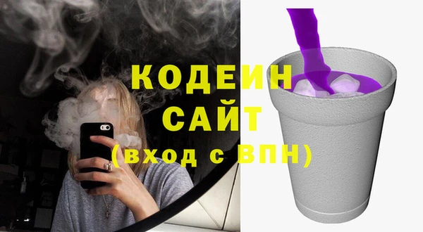 гидра Коряжма