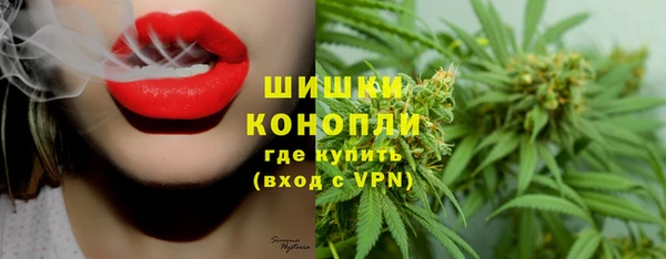 гидра Коряжма