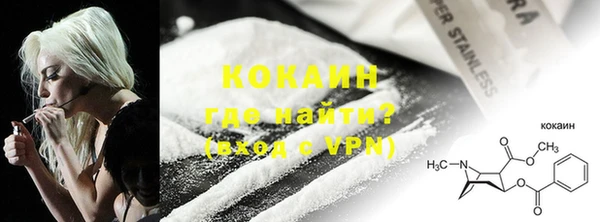 гидра Коряжма