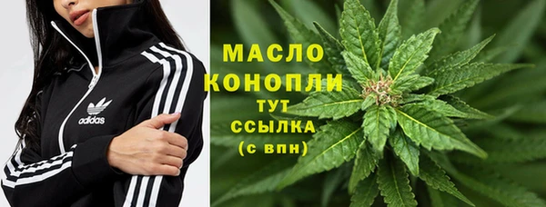 гидра Коряжма
